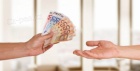 Zskejte dnes a 30 milion K