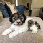 Kn�ra� mal� �t���tka