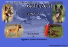 Belgický ovčák malinois- štěňátka