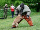 Belgický ovčák malinois - štěňata