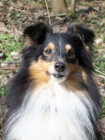 eltie