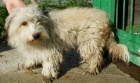 BOHUMÍN