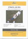 Ztratil se 