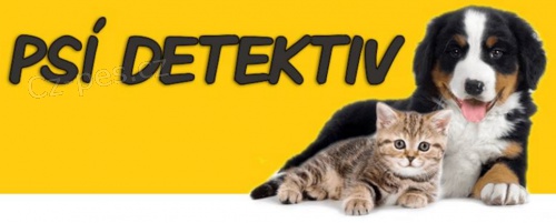 Využijte inzerci Psí detektiv