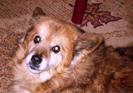 K��enec �pice - Poruba a okol�