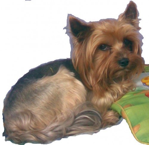 Prosim pomocte pomoccte ?????