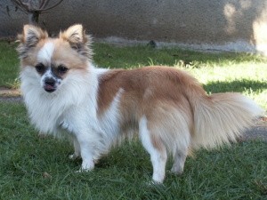 M�lnicko a okol�