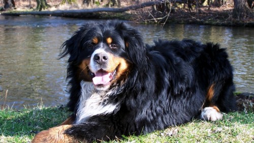 Pros�m pomozte v hled�n�