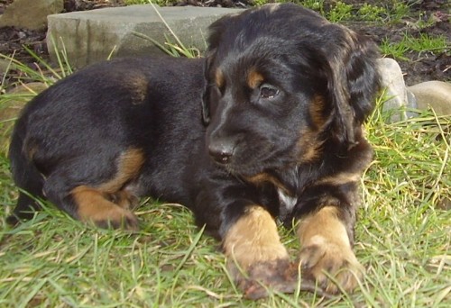 Daruji �t���tka