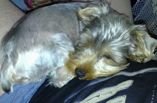 Nab�z�me ke kryt� 