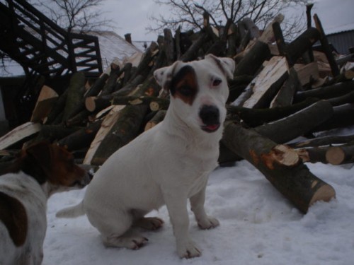 �t���tka JRT