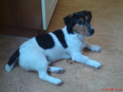 Nab�zim ke kryt� JRT