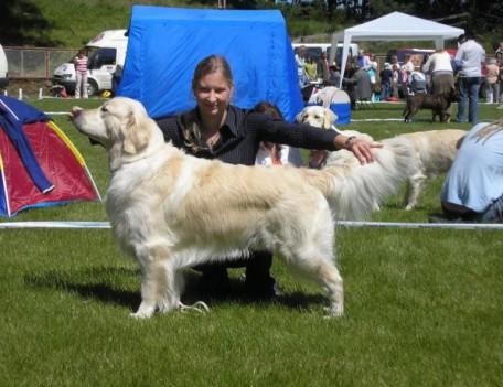 Nab�dka kryt� CH CZ Casanova Santana Golden