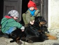BEAUCERON - FRANCOUZSKÝ OVČÁK
