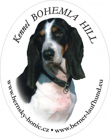 Bohemia Hill Bohemia Hill