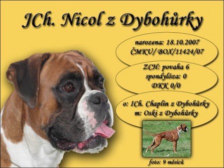 JCh. Nicol z Dybohůrky