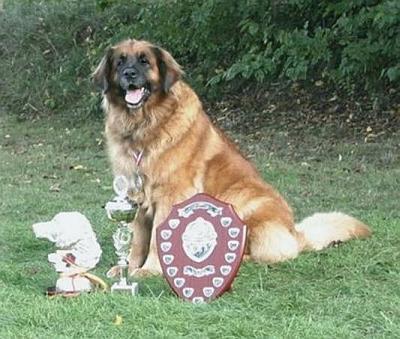 Audry Z��ick� �dol�