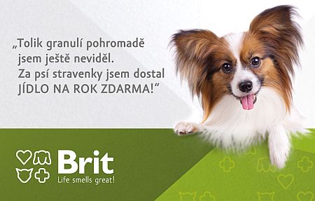 Získej psí stravenky a vyhraj pro svého miláčka jídlo na rok zdarma