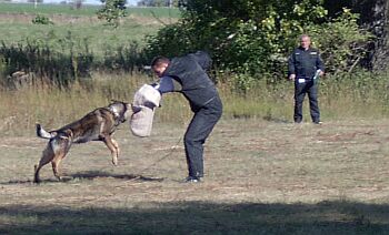 Efektn� prohoz p�i kontroln�m v�konu - figurant Ren� Kone�n�