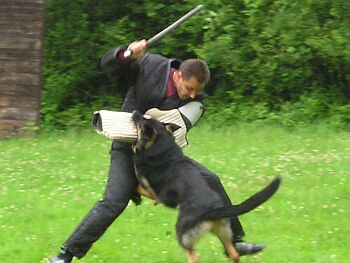 Ren� Kone�n� a kontroln� v�kon...