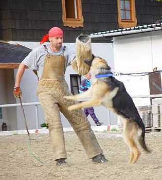 J��� ��u�ka v akci