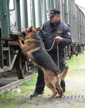 prap. Fojt�k a Ingo Budi�ovsk� vrchy