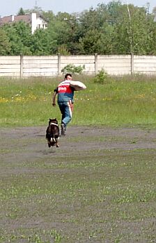 Hladk� zadr�en�