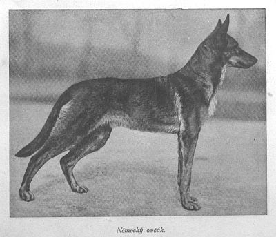 N�meck� ov��k