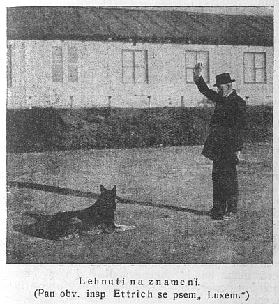 Lehnut� na znamen�