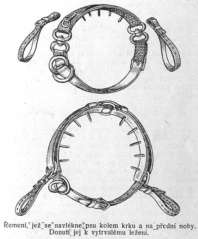 �emen�, je� se navl�kne psu kolem krku.