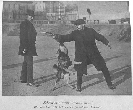 Zabránění v útoku střelnou zbraní