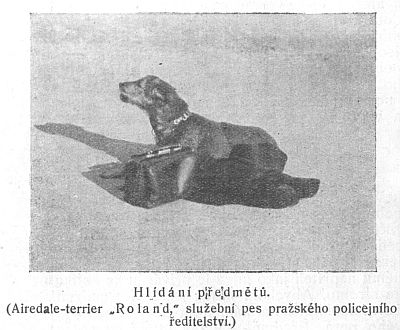 Hlídání předmětu