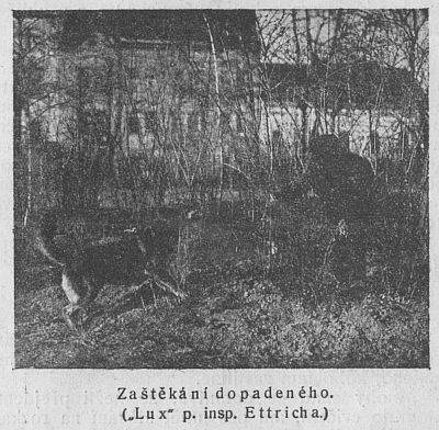 Za�t�k�n� dopaden�ho