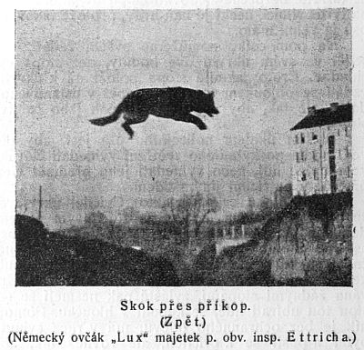 Skok p�es p��kop - zp�t