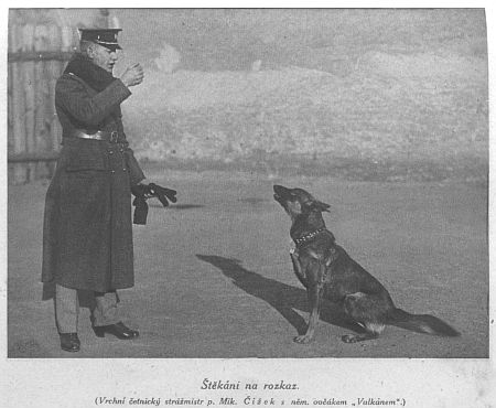 �t�k�n� na rozkaz