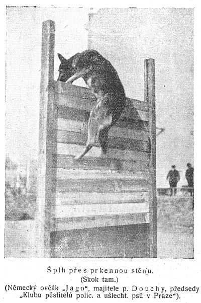 �plh p�es prkennou st�nu - skok tam