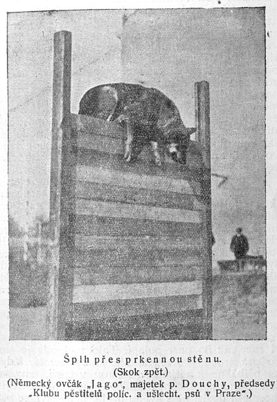 �plh p�es prkennou st�nu - skok zp�t