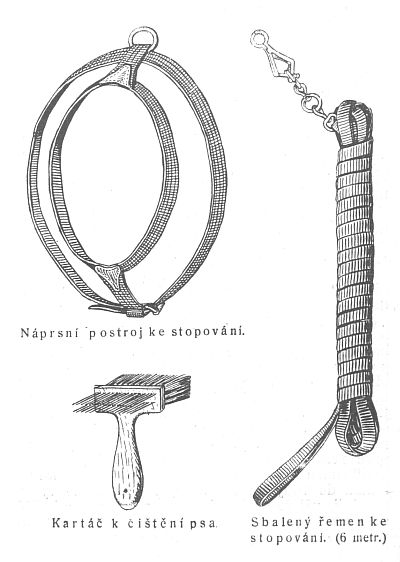 Postroj, kart�� a �emen