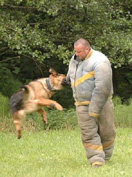 O poh�r prim�torky m�sta Zl�na...