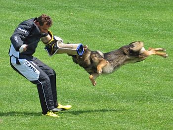 Jaro Ja-He a Milena Pufrov� budou jedn�m z na�ich �el�zek v ohni...