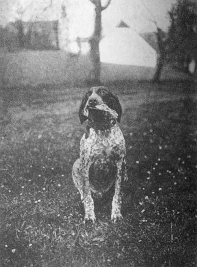 �Rulo - Wanda" p�inesl cvr�alu.