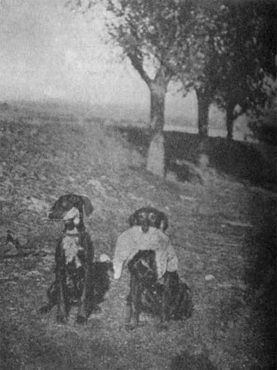 Dvojst�el. Spr�vn� nesen� sluka a ko�ka.