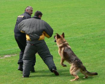 Mistrovství Policie ČR - ilustrační foto