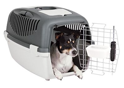 p�epravkapro psy s&nbsp;certifik�tem IATA