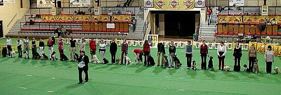 Nástup všech soutěžících