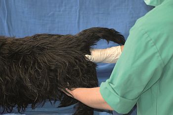 Vy�et�en� prostaty