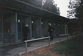 Modern� kotce VS Dobrotice pojmou 80 slu�ebn�ch ps�.